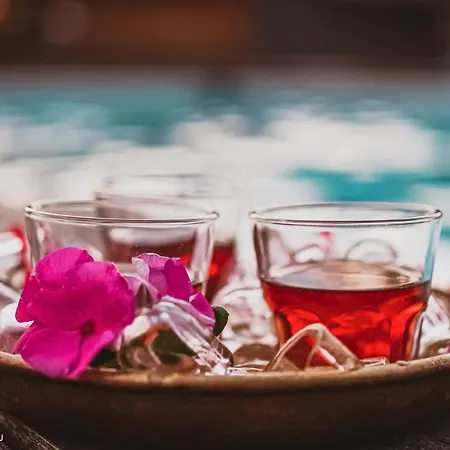 Hotell Keshtjella Syni Zi - Bujtine