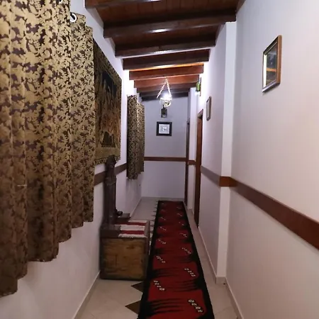 Keshtjella Syni Zi - Bujtine Shëngjin